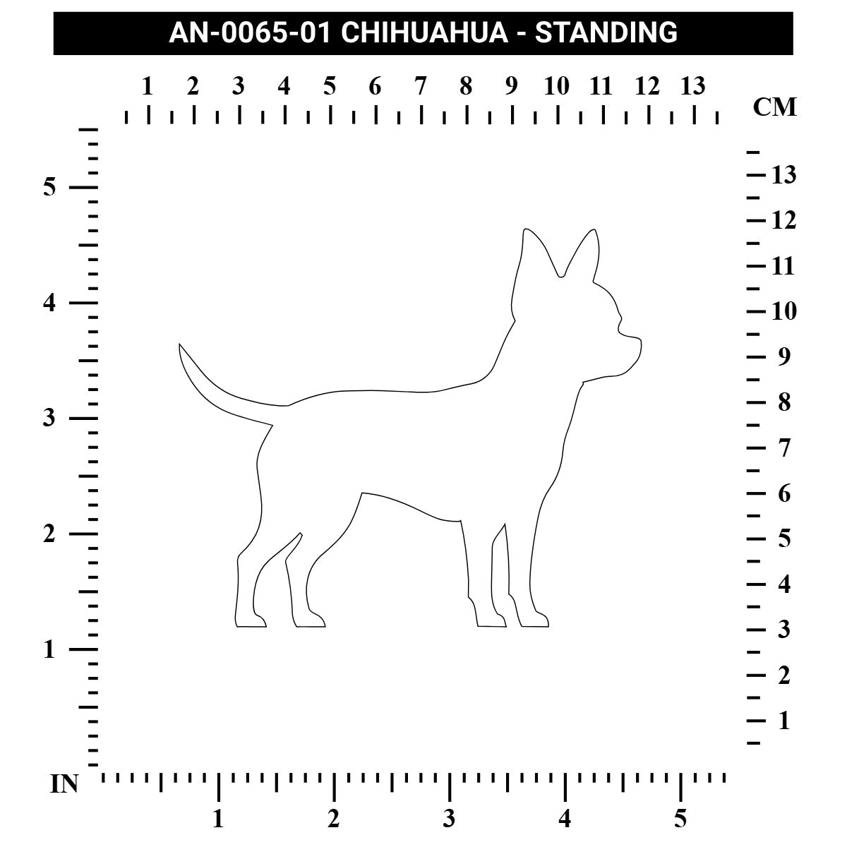 Chihuahua - Standing