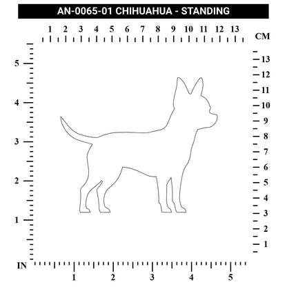 Chihuahua - Standing