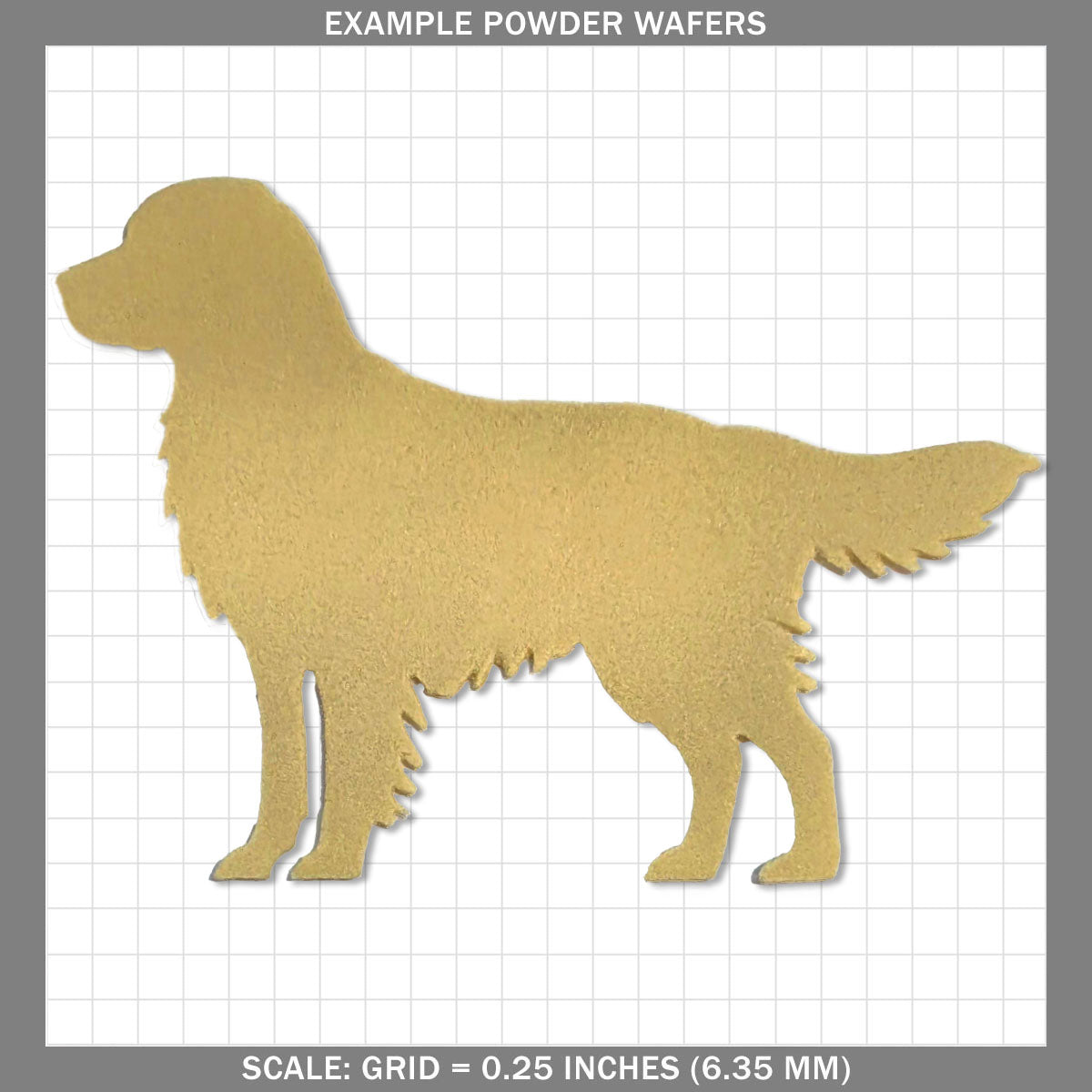 Golden Retriever - Standing