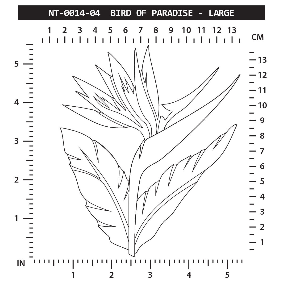 Bird of Paradise - Large