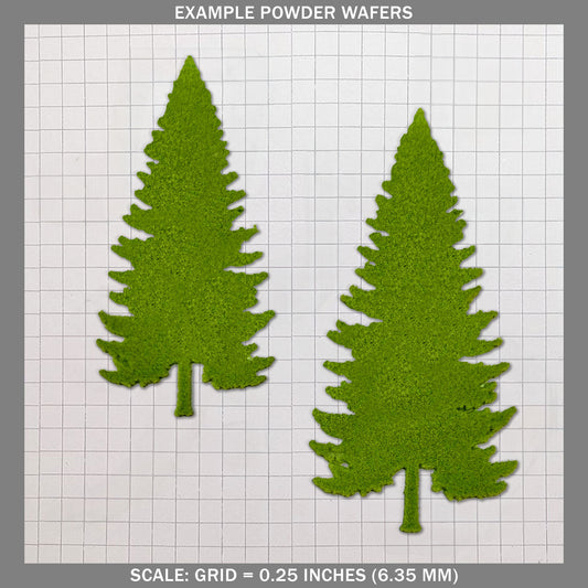 Evergreen - Medium C