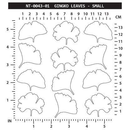 Ginkgo Leaves - Small