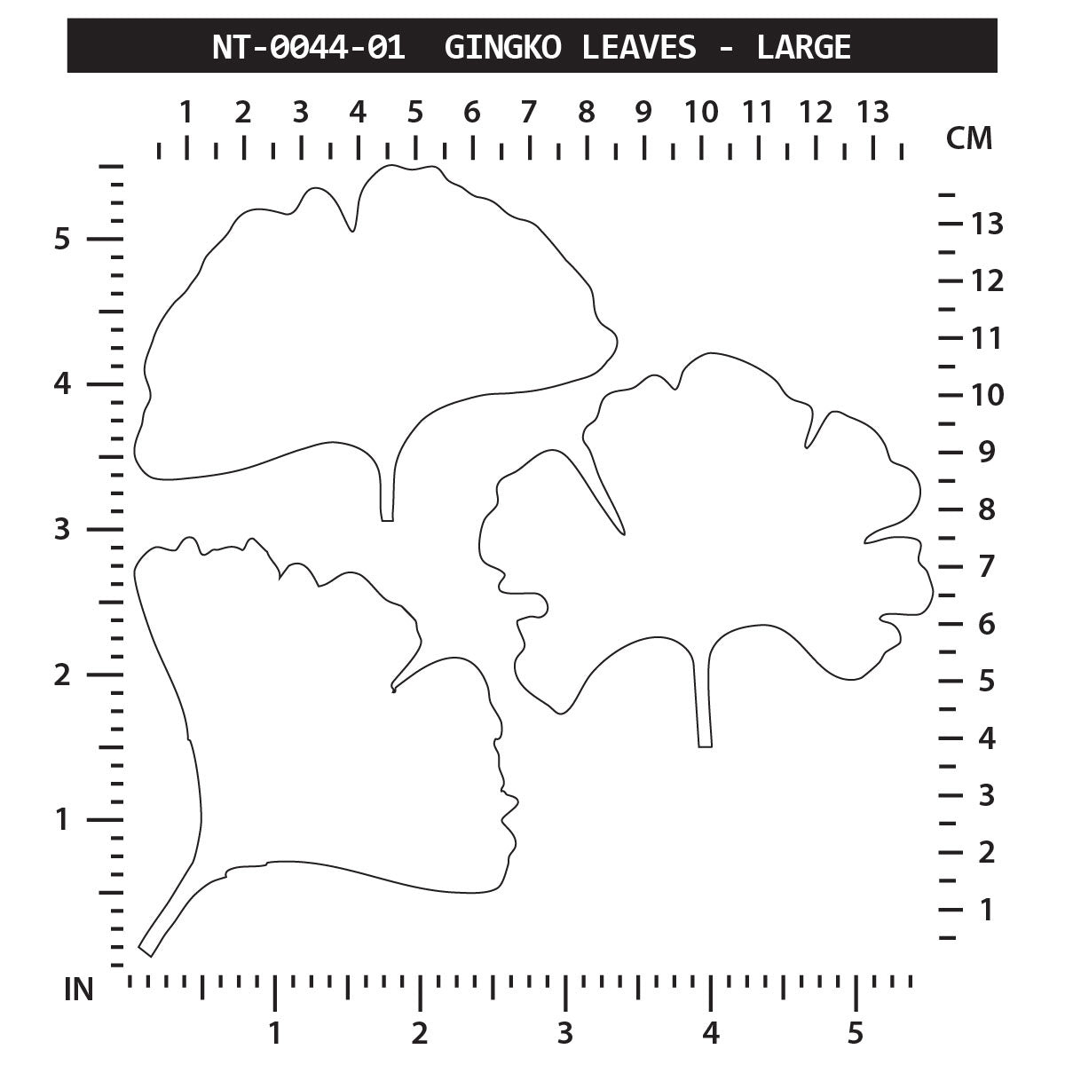 Ginkgo Leaves - Large