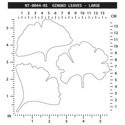 Ginkgo Leaves - Large