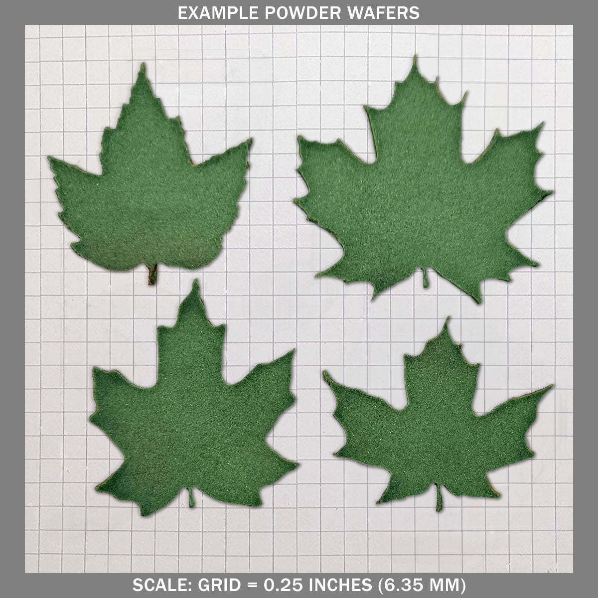 Maple Leaves - Medium