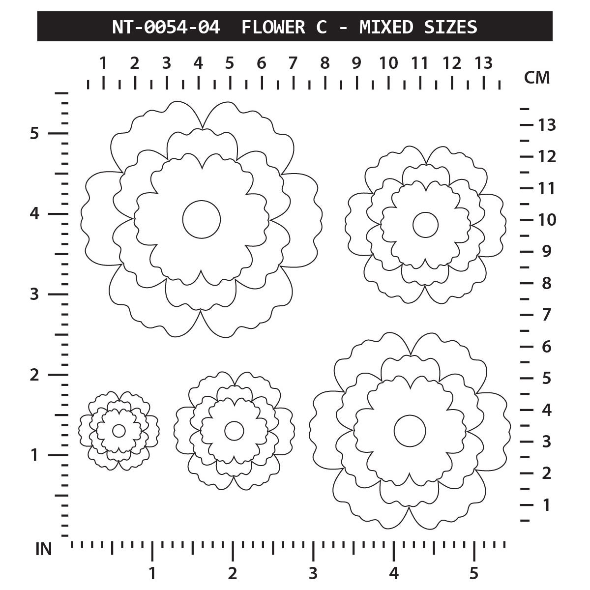 Flower C - Mixed Sizes