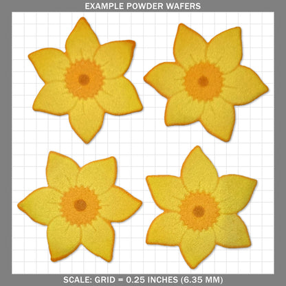 Daffodil - Medium