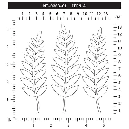 Fern A