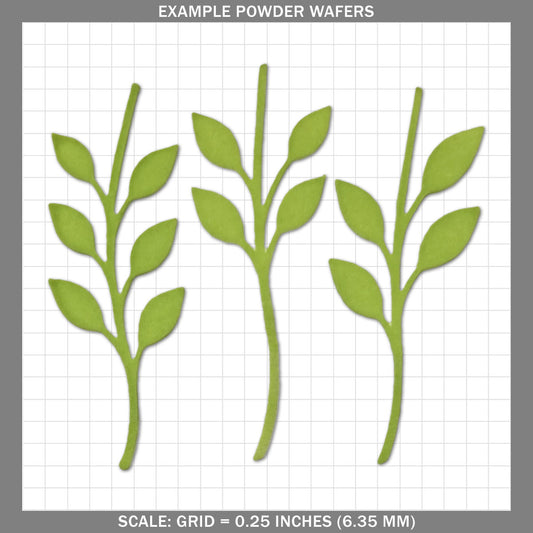 Stems C