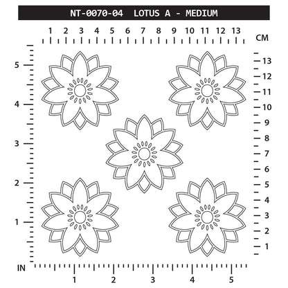 Lotus A - Medium