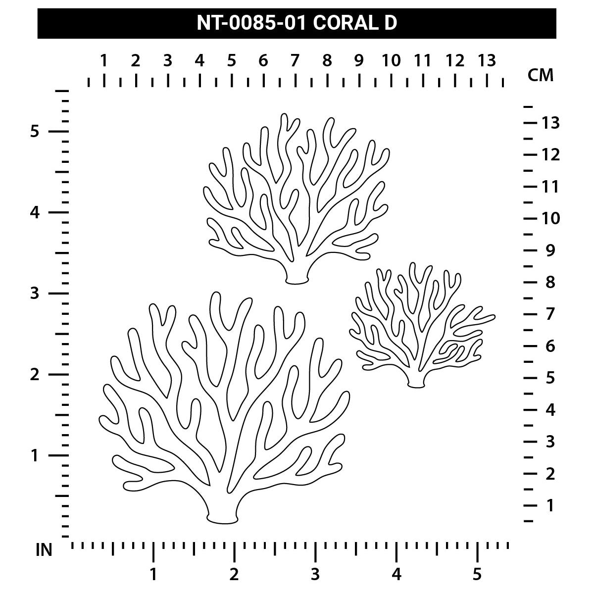 Coral D