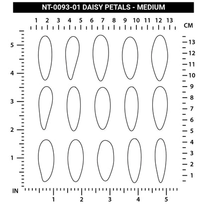 Daisy Petals  - Medium