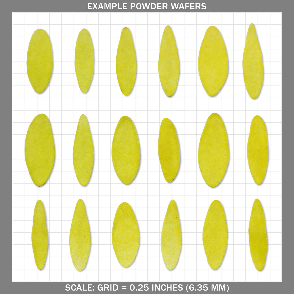 Lilly Petals  - Medium