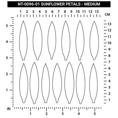 Sunflower Petals  - Medium