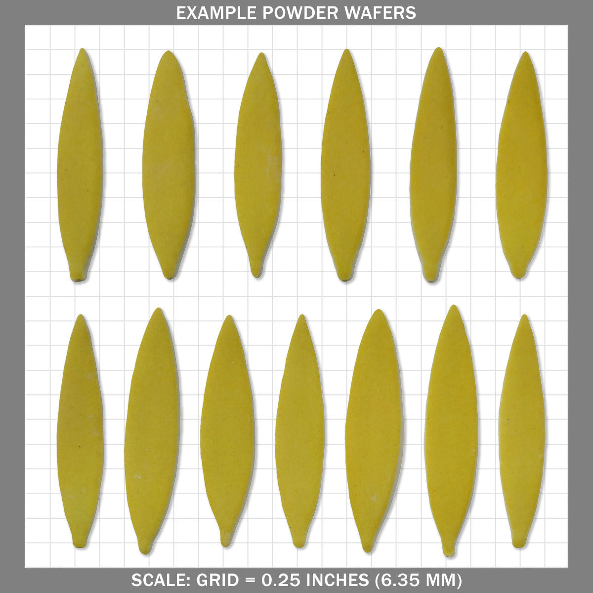 Sunflower Petals  - Medium