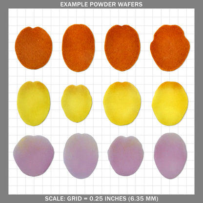 Tulip Petals  - Medium