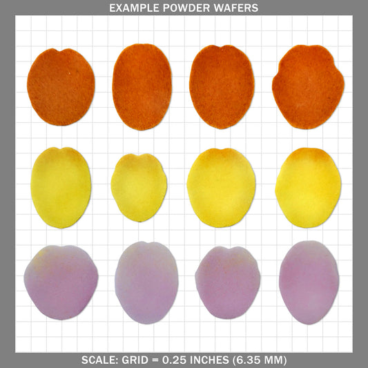 Tulip Petals  - Medium