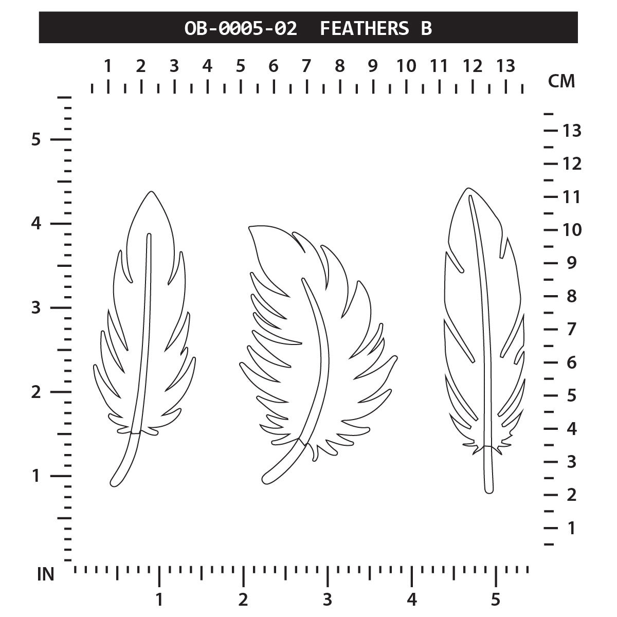 Feathers B