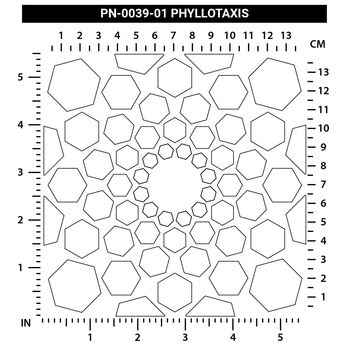 Phyllotaxis