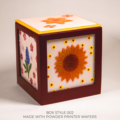 BOXES & LAMPS:   PRE-LAUNCH SPECIAL